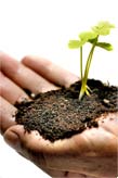 Composter et recycler pour r�duire ses d�chets et pr�server notre environnement