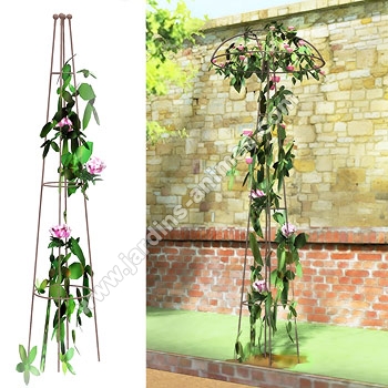 Tuteur Colonne Rosier Grimpant