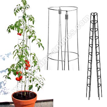 Tuteur tour tomate