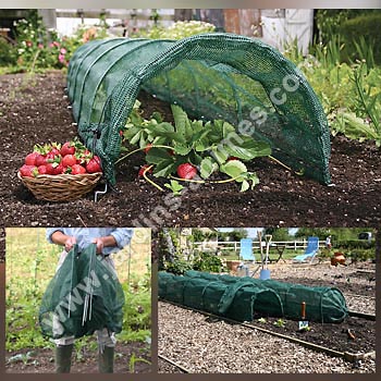 Voile-ombrage-potager