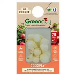 20 coccinelles adultes anti pucerons