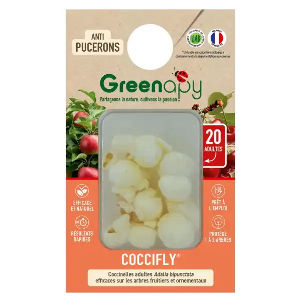 20 coccinelles adultes anti pucerons