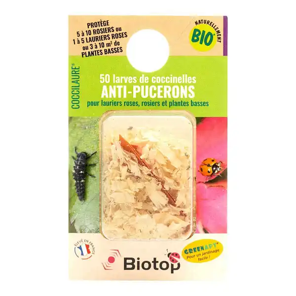 50 larves coccilaure sciure