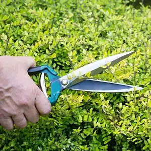 Lien vers un produit variante ou accessoire : Ciseau de jardin manuel pour arbustes et topiaires