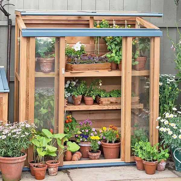 Gabriel Ash Upright coldframe