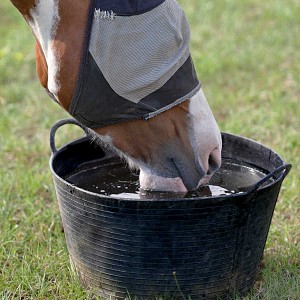 Seau mangeoire souple pour chevaux