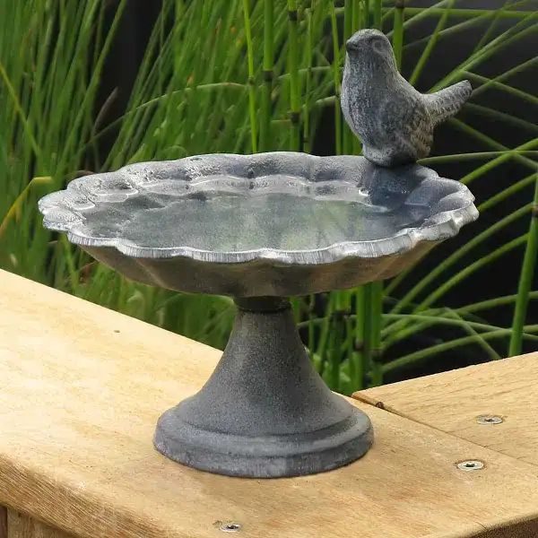 abreuvoir oiseau fonte