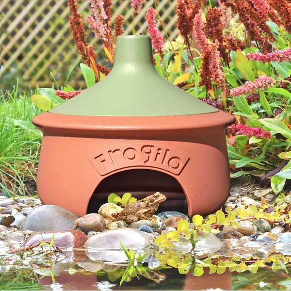 abri grenouille jardin