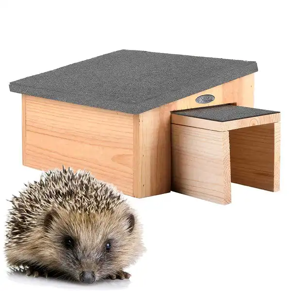 abri herisson bois  abri herisson bois