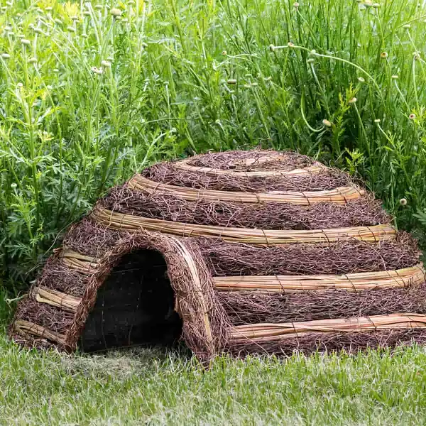 abri herisson igloo jardin
