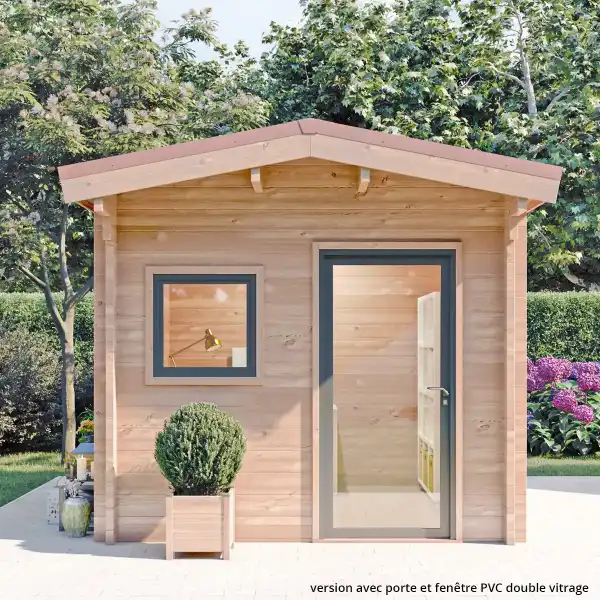 abri jardin moderne 8m2 bois