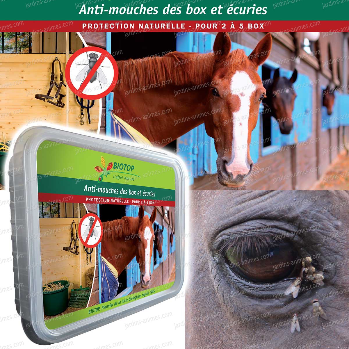 Anti Mouches Box Et Ecuries Pour 2 à 5 Box Anti Mouche Moucherons Bio