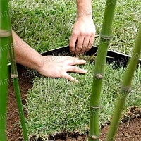 Barrière Anti-Rhizome Bambou 10x0.73m Bidim