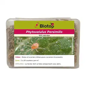 Phytoseiulus contre acariens araignées rouges (tétranyque tisserand)