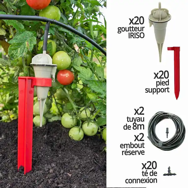 arrosage iriso goutte 20