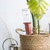 Cône d'arrosage en terre cuite - blanc ou rouge