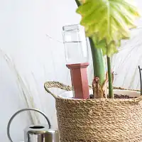 Cône d'arrosage en terre cuite - blanc ou rouge  Cône d'arrosage en terre cuite - blanc ou rouge