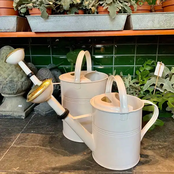 arrosoir retro eau vintage arrosoir retro eau vintage