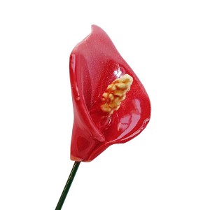 Fleur en céramique sur tige à planter - Arum rouge
