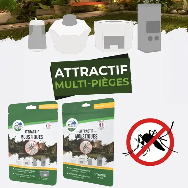 attractif piege moustique