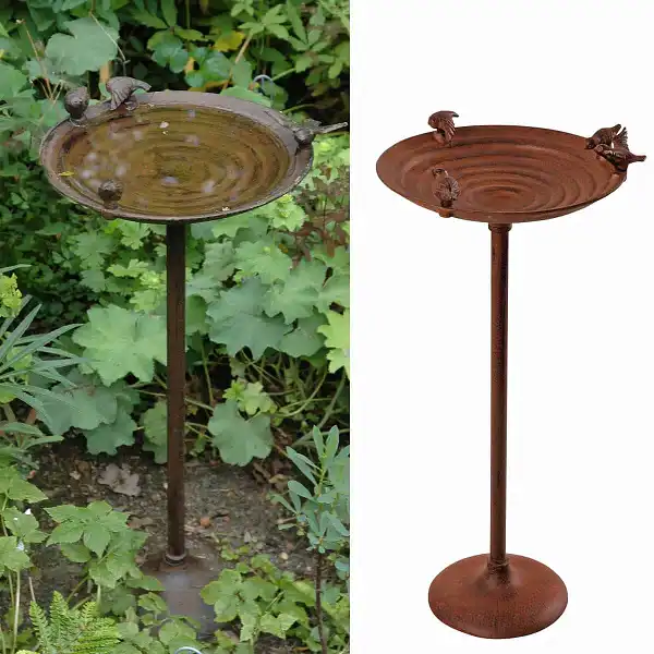 bain oiseau fonte sur pied