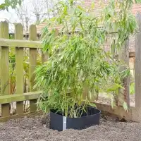 Barrière anti-rhizomes bambou et racines envahissantes - Haute densité, épaisseur 1.2mm - L.5m x H.70cm