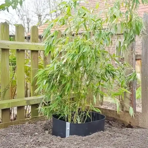 barriere anti rhizome bambou