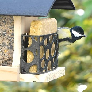 Bloc de graisse végétale pour oiseaux sans huile de palme