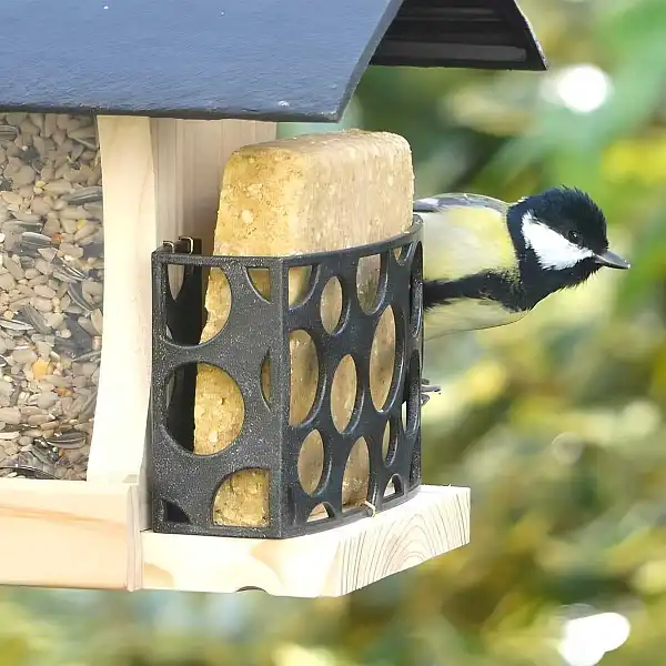 bloc graisse vegetale oiseaux