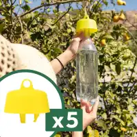 Bouchons pour piège à guêpes bouteille, frelons et mouches x5 - Recettes incluses