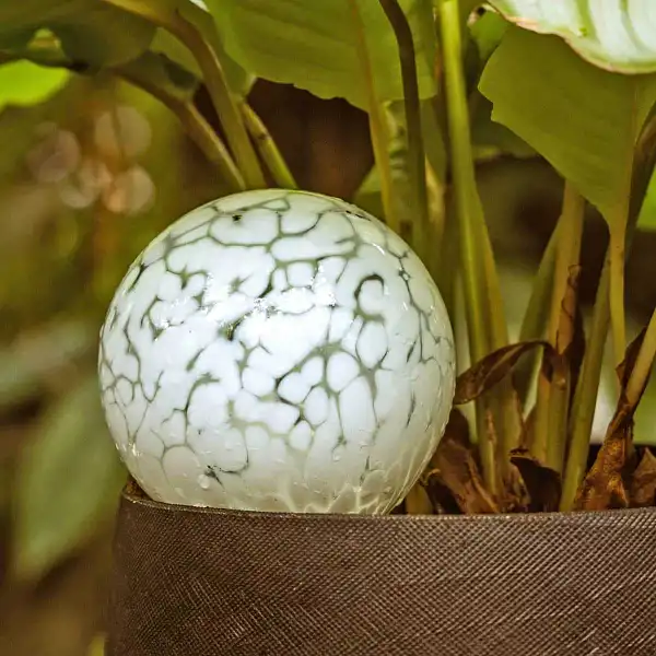 boule arrosage verre blanche