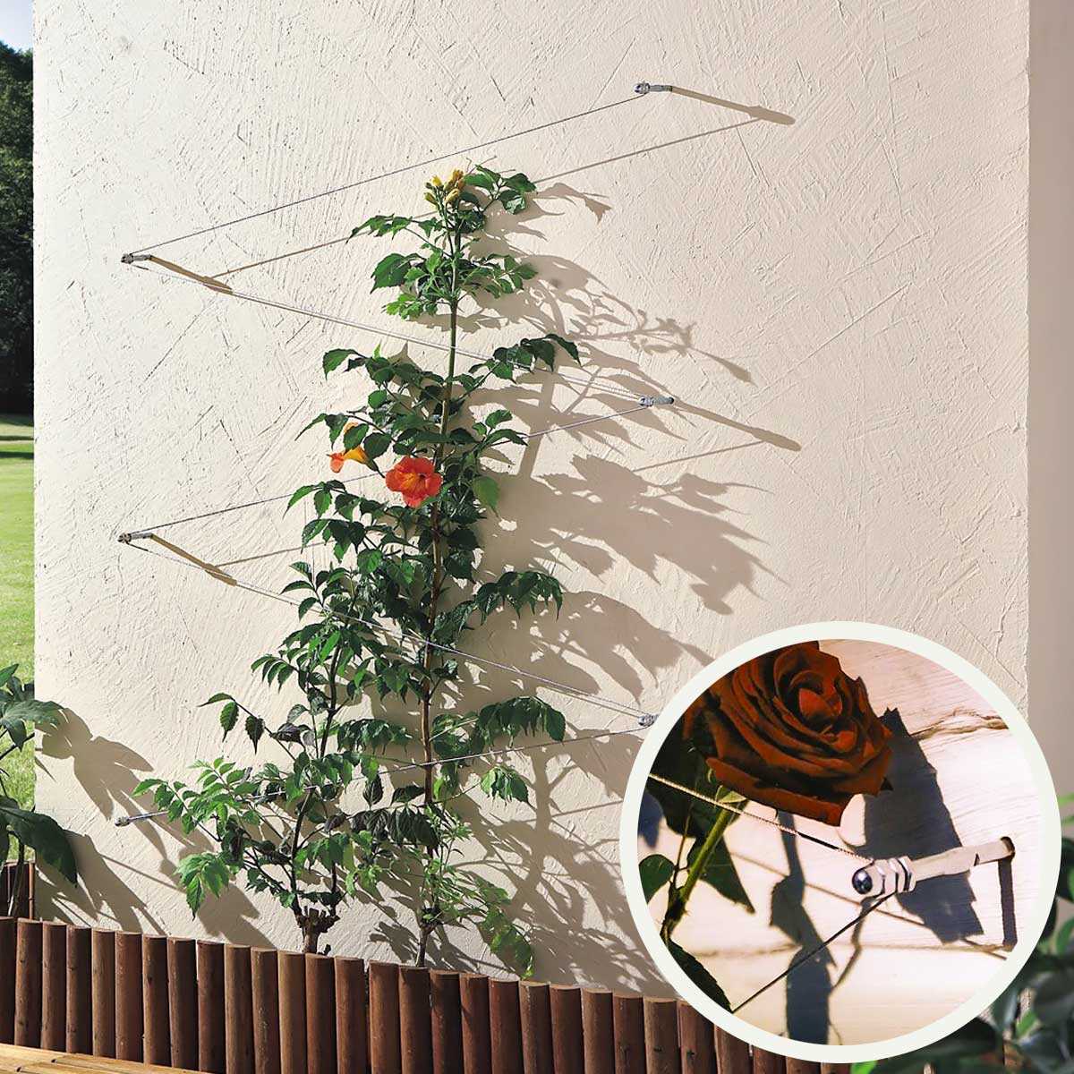 Cable Palissage 10m Support De Fixation Mural Vente Au Meilleur Prix Cable Palissage 10m Support De Fixation Mural Vente Au Meilleur Prix