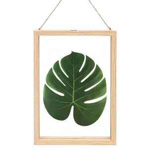 Cadre flottant pour fleurs et herbes pressées H.30cm - Taille L