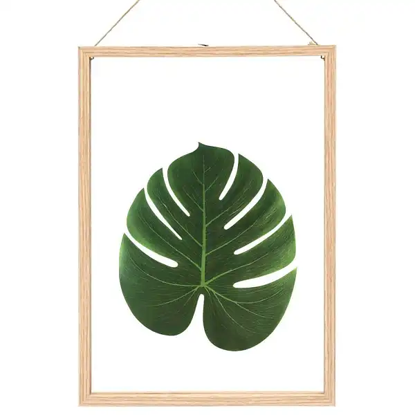 cadre fleurs pressees XL