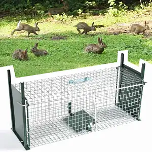 Cage piege à lapin double entrée