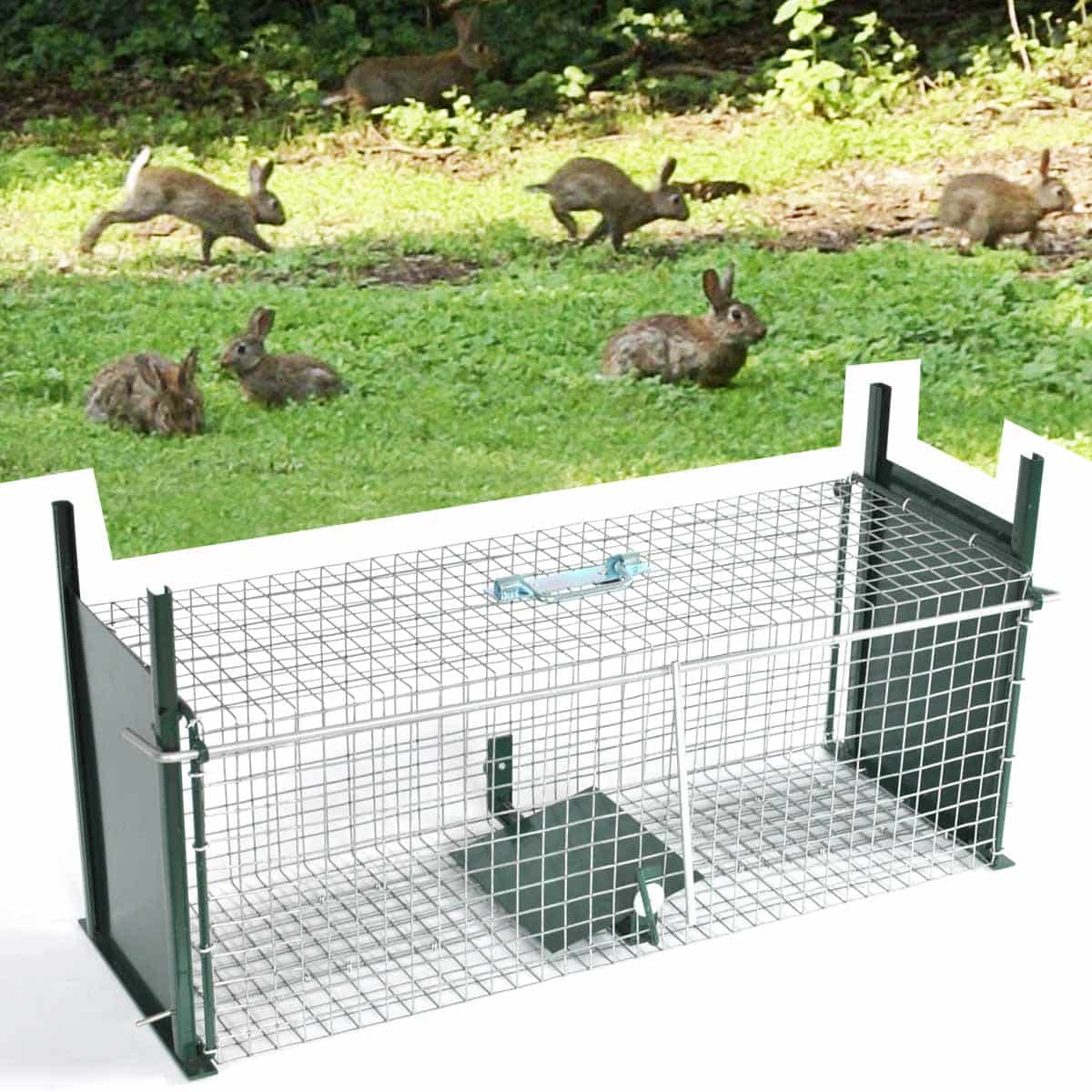 Cage piege à lapin double entrée