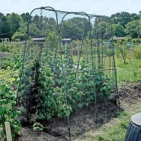 Cage Protection des Récoltes avec filet anti oiseau et chassis résistant