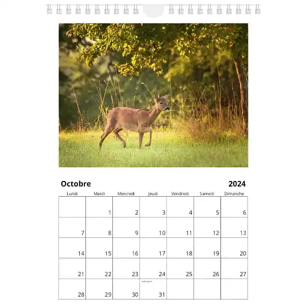 calendrier photo animaux