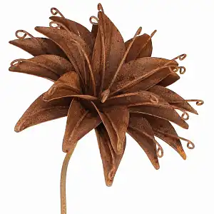 Tuteur fleur Lys en fer brut 28cm