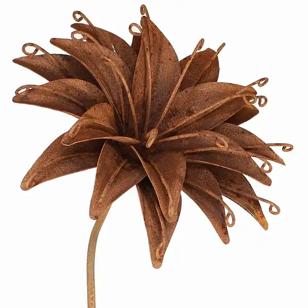 camassia deco fer camassia deco fer