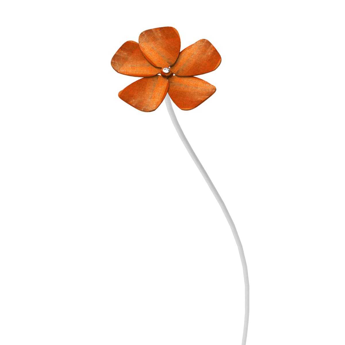 camelia acier corten