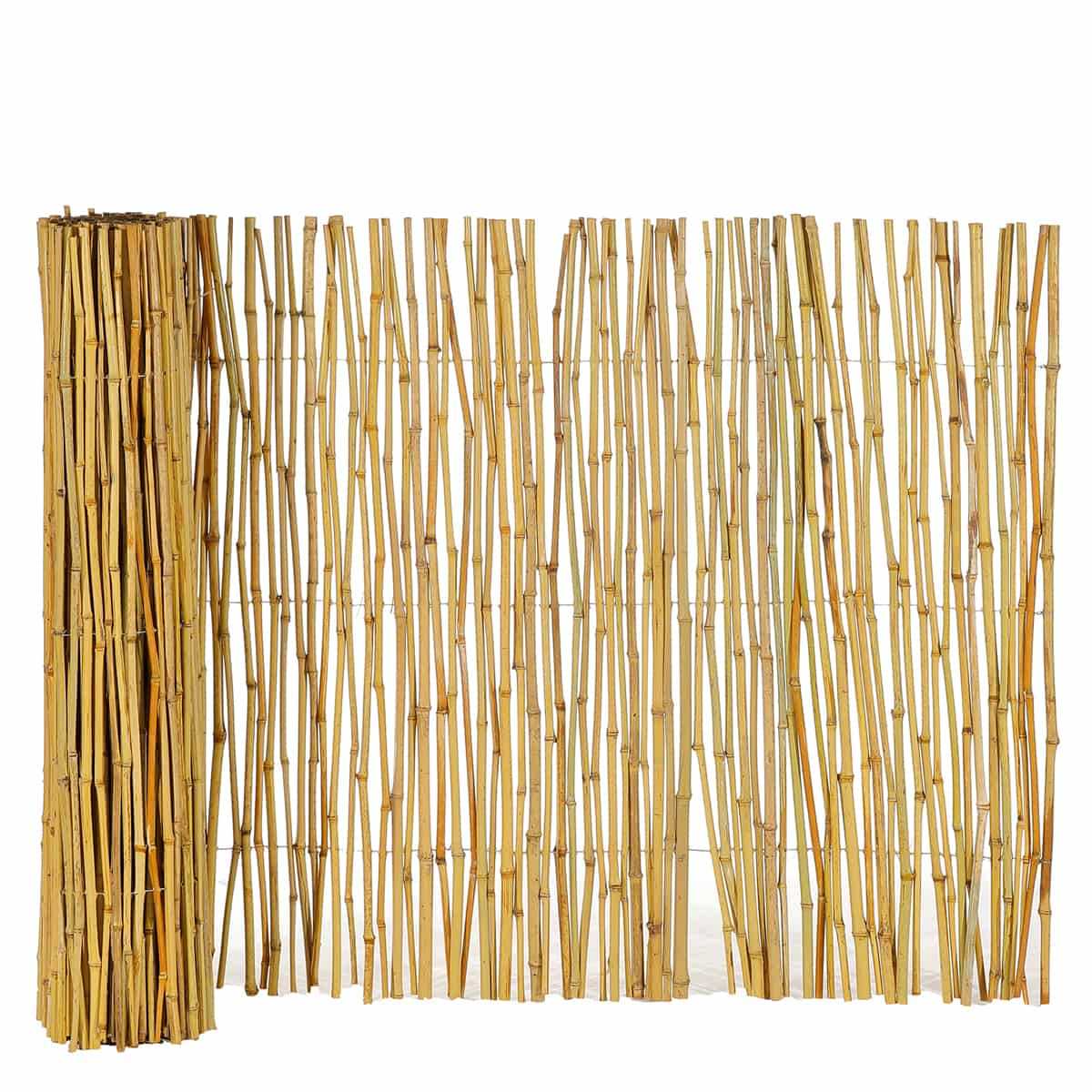 canisse bambou 1 5mx3m