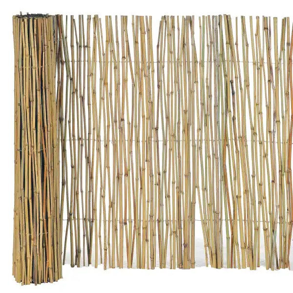 canisse bambou rouleau