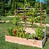 Carré potager en bois 2 étages + treillis