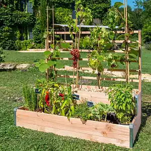 Carré potager en bois 2 étages + treillis