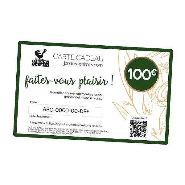 carte cadeau 100 euros carte cadeau 100 euros