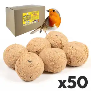 Boules de graisse sans filet, sans huile de palme et 100% végétales - carton de 50 pcs