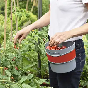 Panier De Cueillette Avec Bandoulière - Pour Fruits, Légumes, Baies - Plastique Rouge