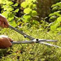 Ciseau de jardin pour haie et buis  Ciseau de jardin pour haie et buis