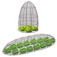 Cloche pour le jardin en grillage à poule Ogive - Tunnel de protection jeunes plants D. 50 x H. 75cm